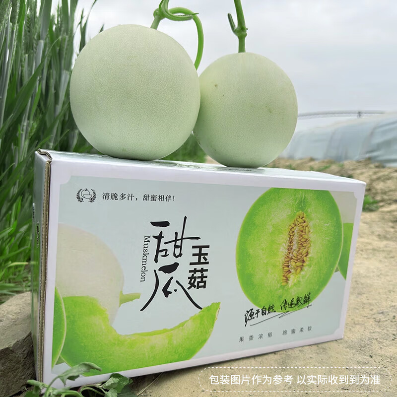 生活＆好管家山东玉菇甜瓜冰淇淋香瓜甜瓜水果当季新鲜现摘整箱 精选暖棚净重4.5-5斤——2-3个