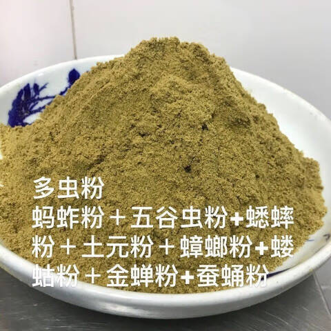同仁堂千虫粉精品鸟食营养千虫粉蚂蚱蚕蛹虾 [千虫粉]500克一斤装