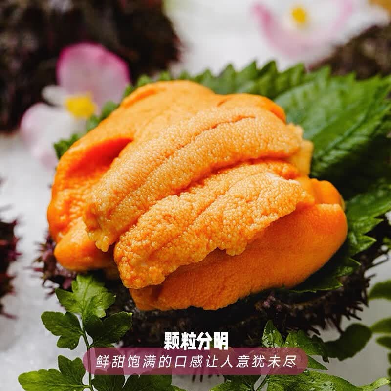 大连马粪海胆肉鲜活肉冰鲜板胆非刺身日料生鲜海鲜食材新鲜 马粪海胆纯肉100g*1盒