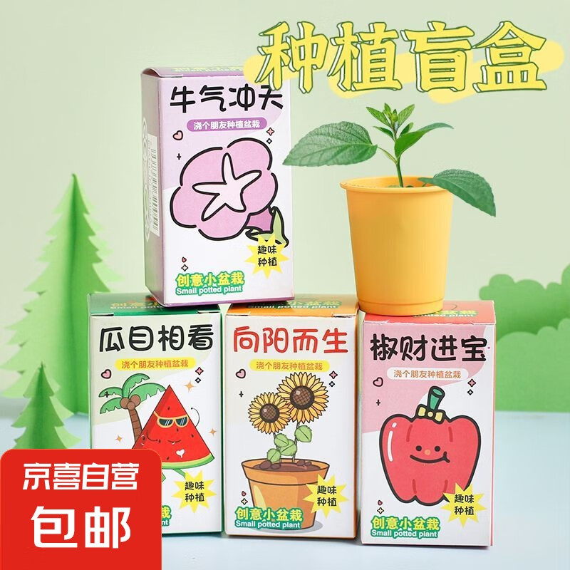 植树节爆款礼品盲盒盆栽祝福款幼儿园全班手工奖品小学儿童高颜值 迷你小盆栽随机【1盒】 1个