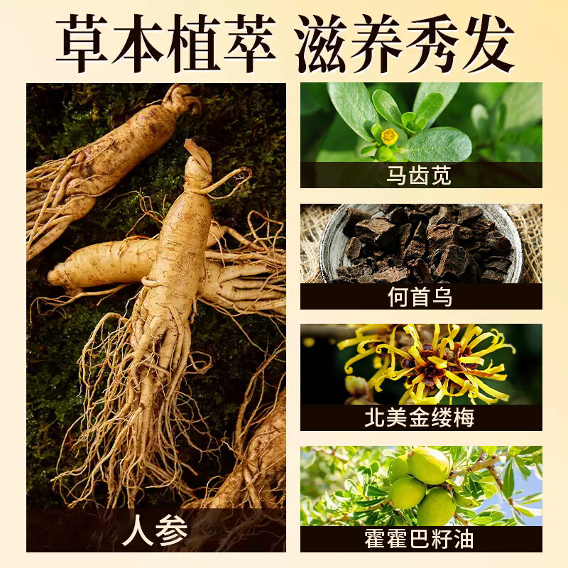 染博士染发膏 植物精油染发剂美发 植物萃取遮白无刺激在家染 官方正品 自然黑【爆款推荐】1盒4支