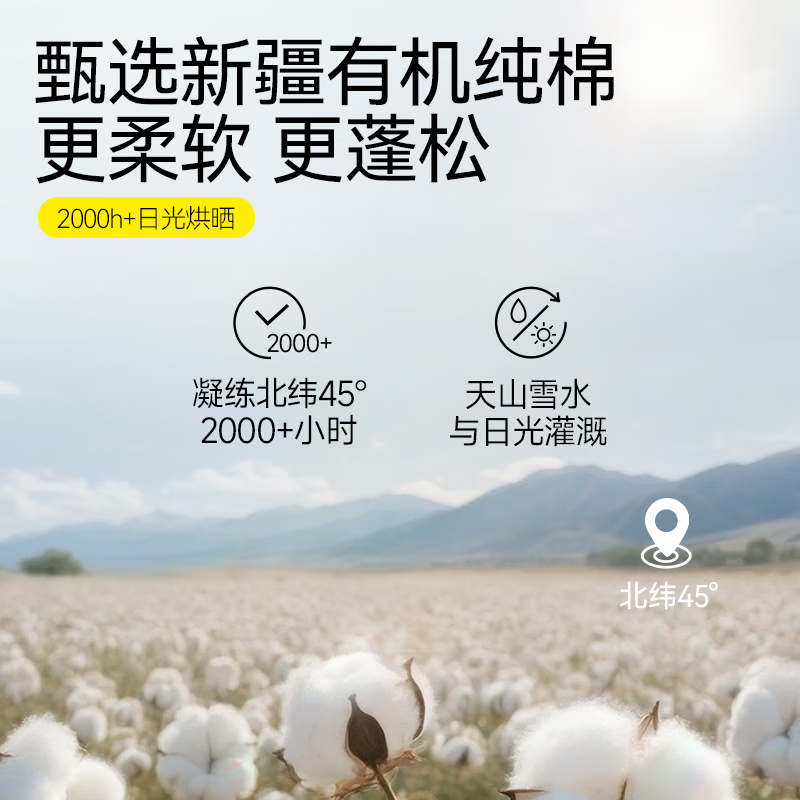 自由点卫生巾天然有机棉极薄姨妈巾日夜组合装【安心品质】 有机棉日夜用组合8包67片