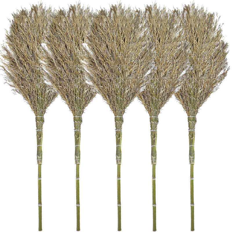 ������ ��ɨ����ɨ�� 4���5��װ ɨ��·������ɨ��ɨ�� ���ʽ 931Ԫ��5��(��186.2Ԫ/��)