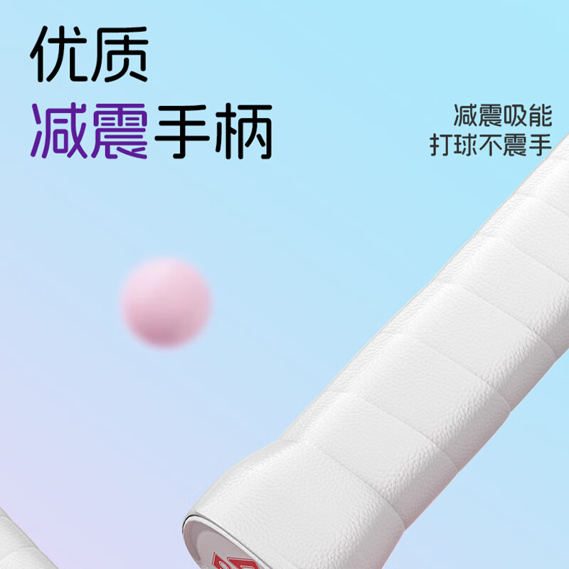 匹克(PEAK)羽毛球拍超轻对拍攻守平衡成人学生练习球拍耐打铝合金初学者入门 【初学进阶】紫/绿双拍丨耐打3球 羽毛球拍套装