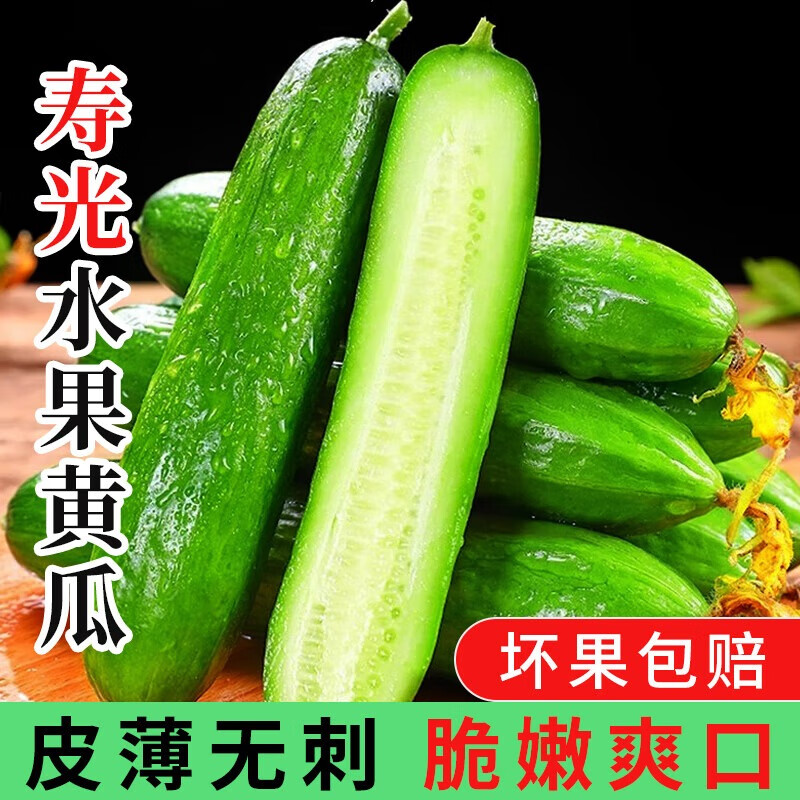 京鲜匠山东新鲜水果黄瓜 脆嫩清甜小黄瓜 新鲜蔬菜 产地直发 净 4.5斤 精品果 现摘精选