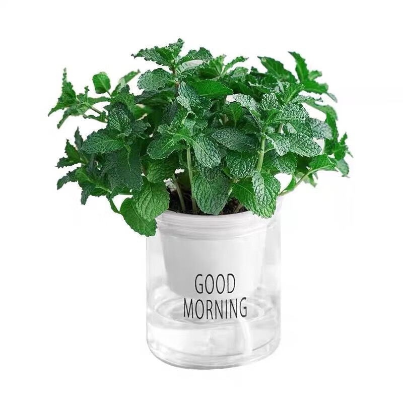 ���ɽ���ֲ���������������ú�����ֲ����ֲ��̨�ļ��������Ժ��� ����+͸����ˮ��