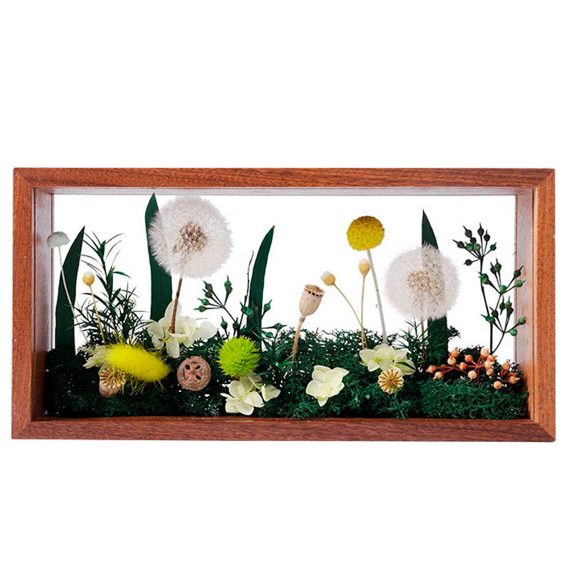 JoyFlower����������ѹ�Ӣ������˽��������������ʵ����Ů���������� 243.12Ԫ