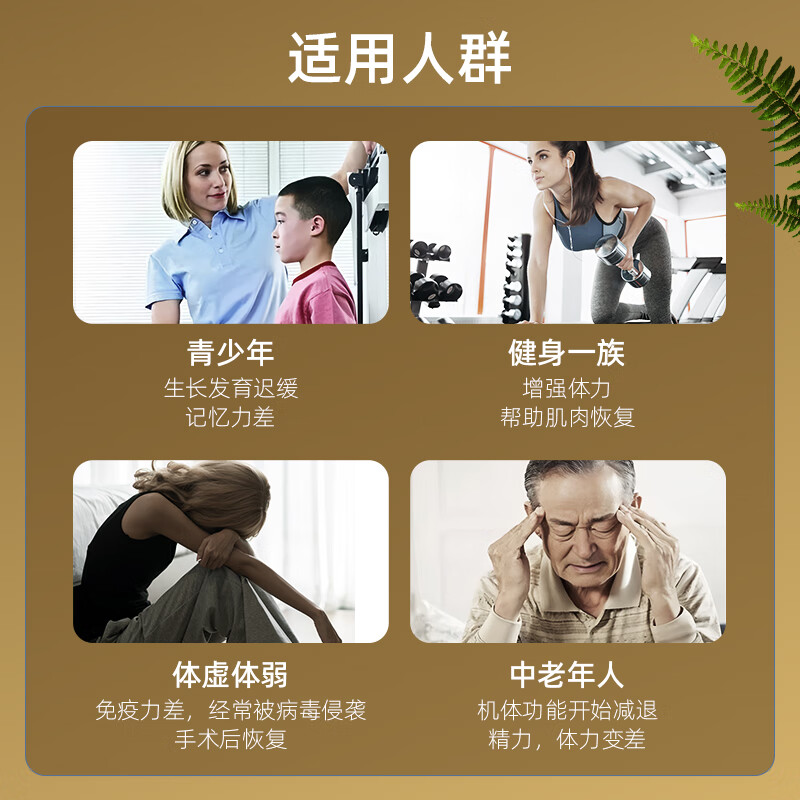 Cervidor鹿茸胶囊搭人参虫草鹿鞭丸全蜡片粉片精华血酒口服液男性滋补品 新西兰进口鹿茸胶囊 60粒*1瓶 送长辈年货节过年礼盒 搭配高档含量养生补肾壮阳男用保健品非梅花鹿
