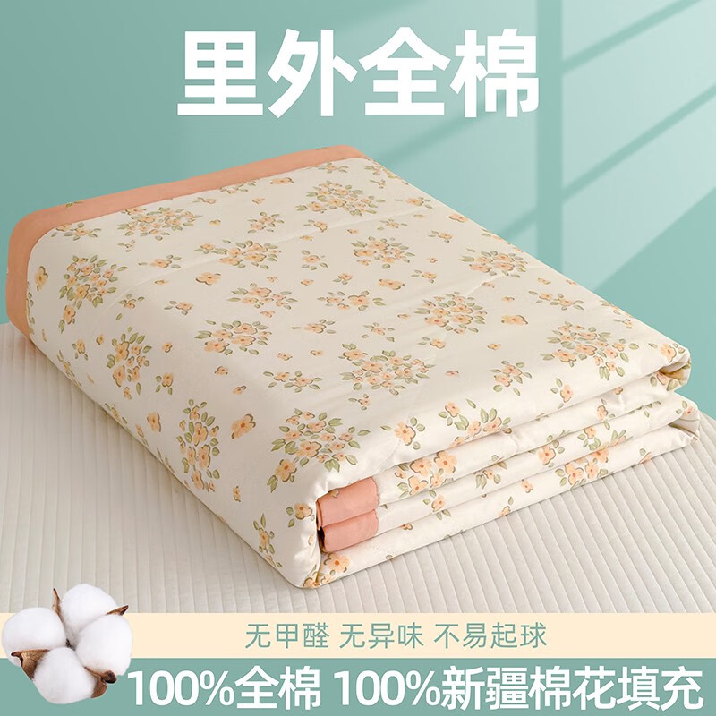 空调被纯棉100%双面可机洗抗菌2025新款全棉棉花夏被可机洗空调被 觅彩 150cm*200cm