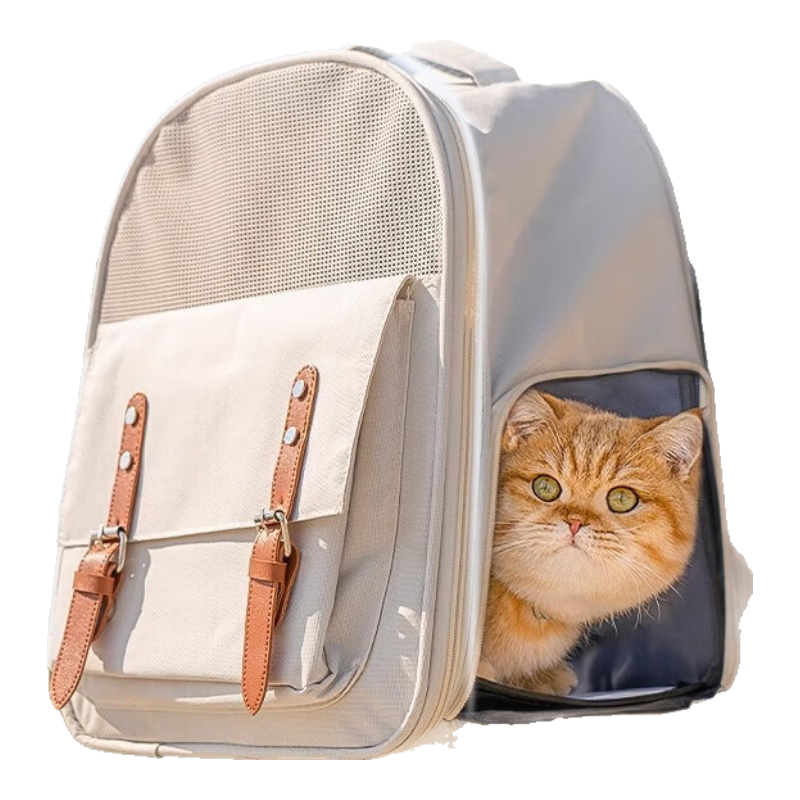 ���ڲ�����BNBNOè�������Я����˫��è�䱳���������͸����������è��������Ʒ