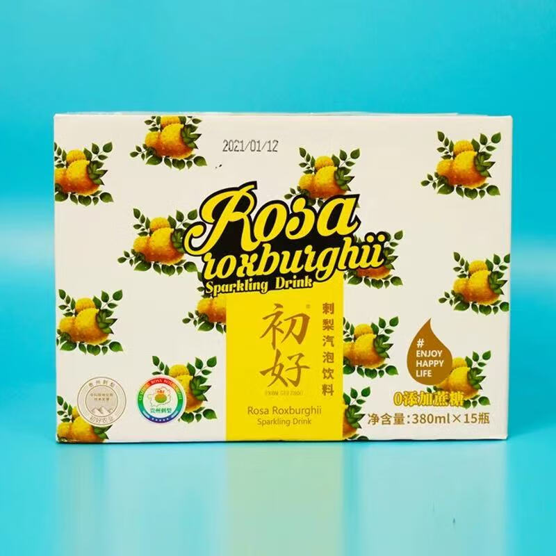 其他家冰點刺梨汽泡水飲料夏日冰鎮(zhèn)解渴380ml*15瓶整箱貴州六盤水特產(chǎn) 初好刺梨氣泡飲料380ml*15瓶