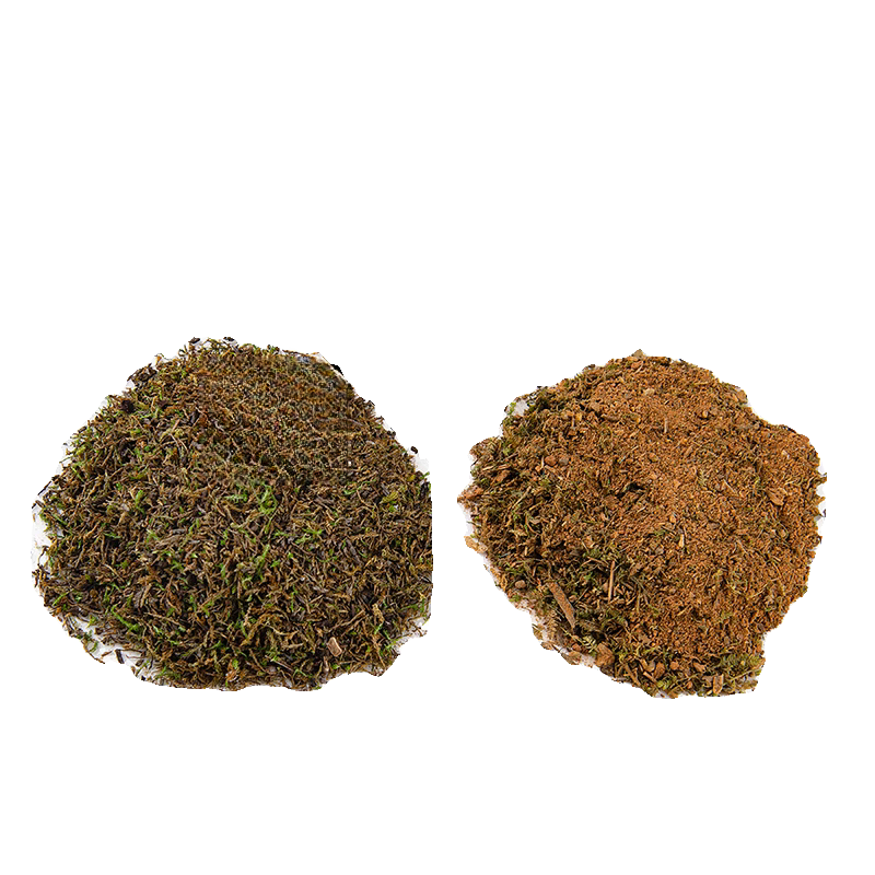 汇种草农苔藓孢子粉四季鲜活青苔绿植短绒吸水石种子微景观盆景造假山草籽 瓶装混合苔藓孢子粉精品约80毫升 精选【21克】包发芽