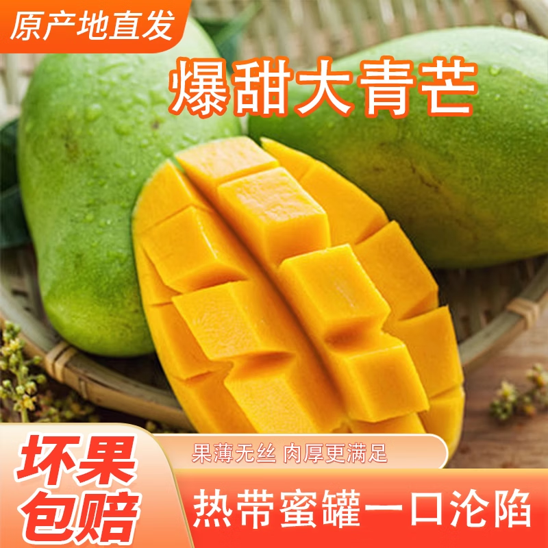 庾丰越南芒果现摘孕妇新鲜水果金煌 热带整箱  当季现摘大青皮玉芒 5斤装（净重4.5斤）单果300g+