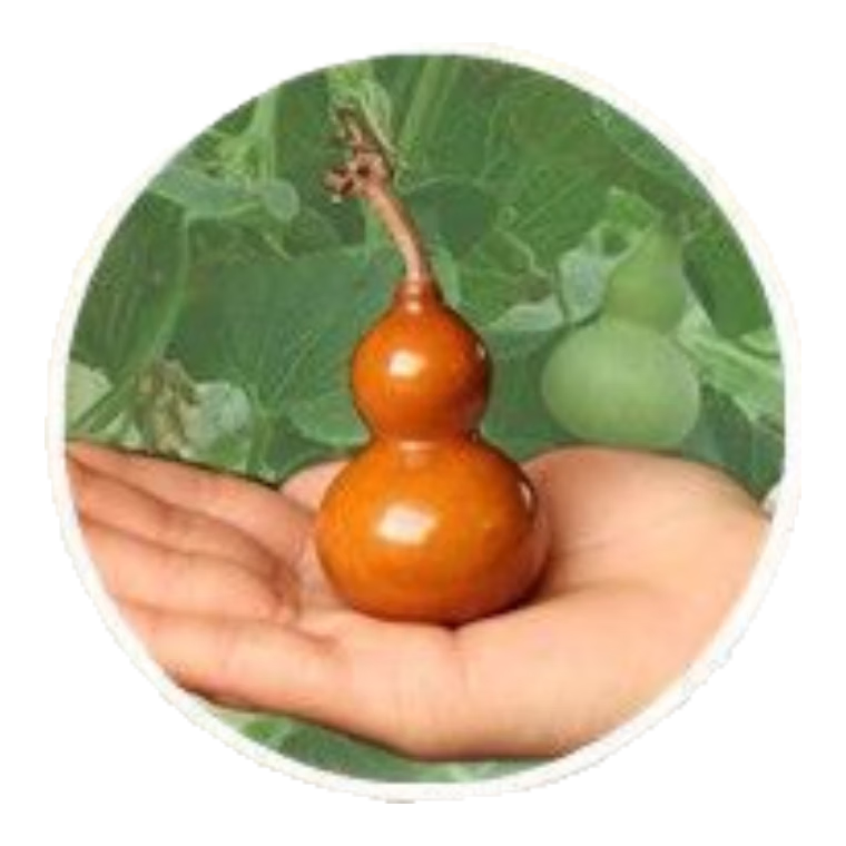 ������С��«����������«������̨���������ɫ��«�ļ���С��« ������«���� 2��Լ10�� 3.48Ԫ