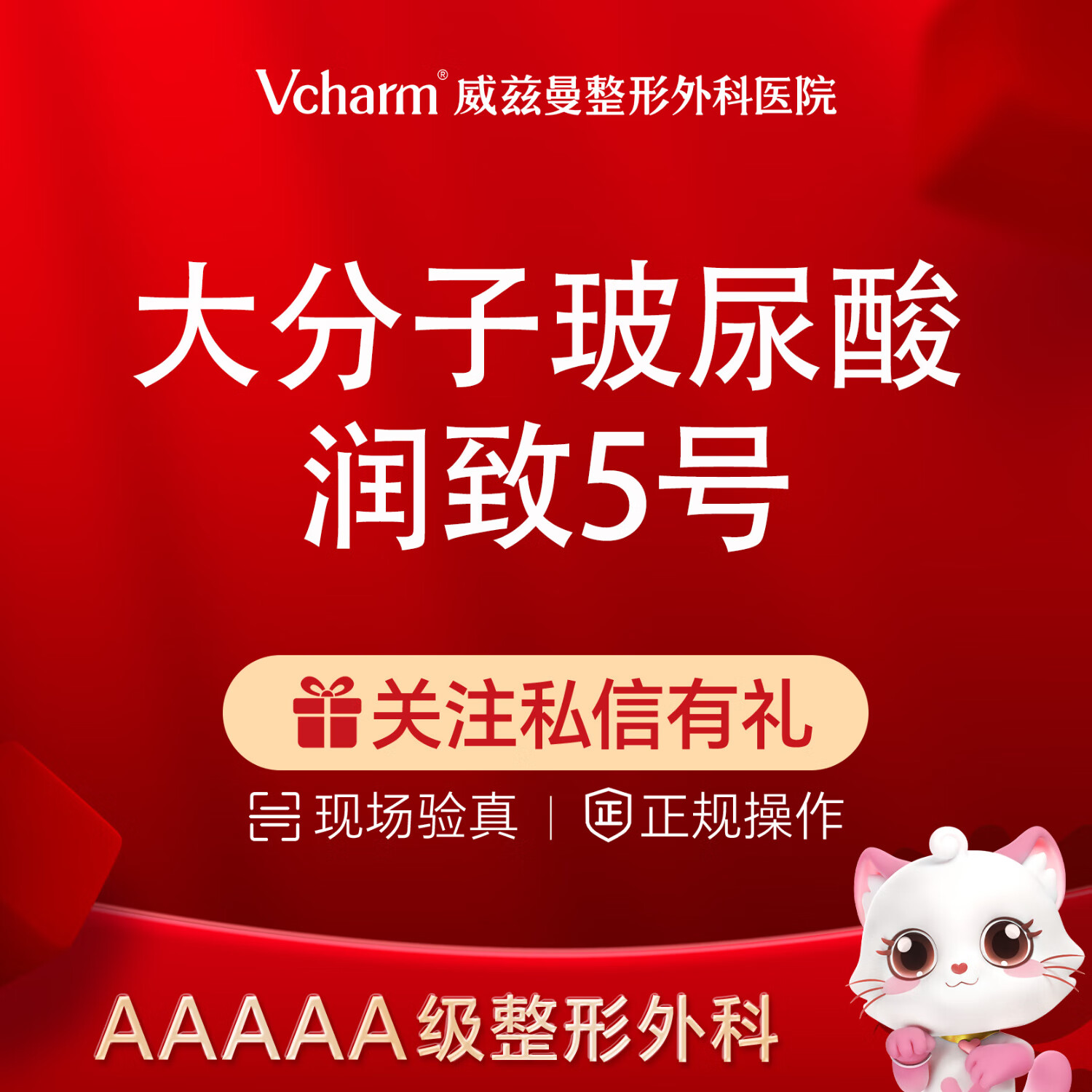 润致双相5号 玻尿酸1ml 大分子 鼻子 下巴 眉弓等骨性填充