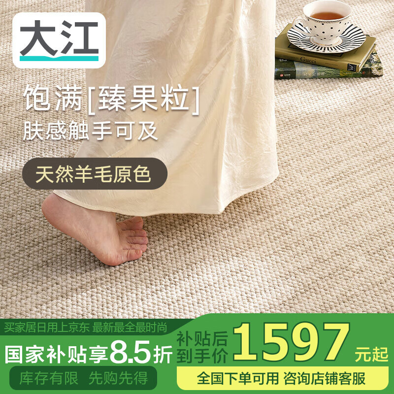 大江地毯客厅高级感 进口羊毛地毯沙发大宅耐脏免洗地毯卧室240x340cm