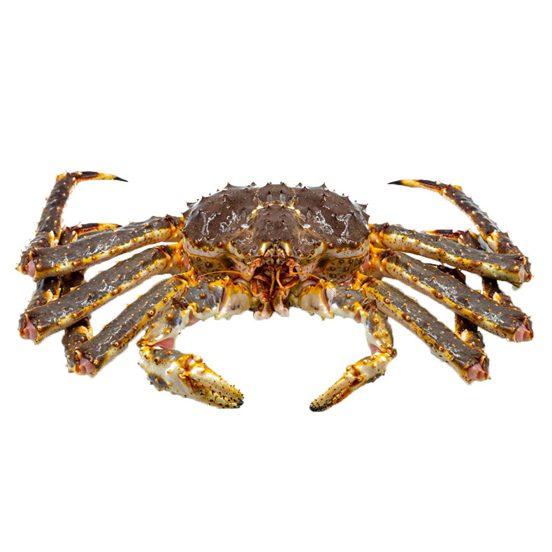 晶彩甜园鲜活速冻帝王蟹俄罗斯大螃蟹帝皇蟹生鲜海鲜聚餐送礼4.5-4.9斤源头直发包邮
