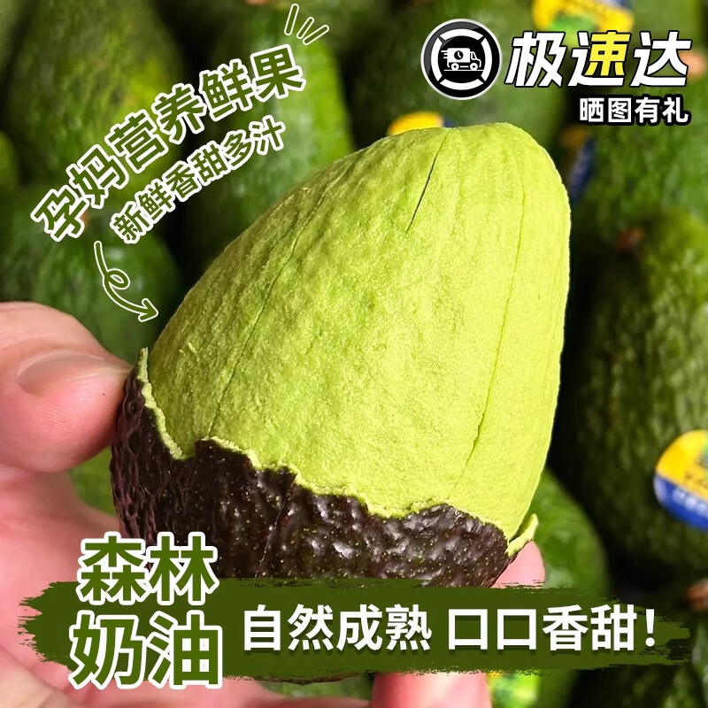 鲜级佳秘鲁牛油果鳄梨微催熟新鲜水果孕妇宝宝辅食代餐当季水果 100-130 6枚