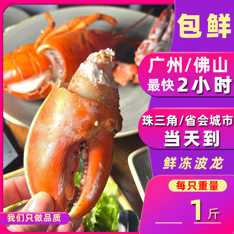 生冻波士顿龙虾鲜活大龙虾澳洲龙虾冰鲜海鲜水产大虾称 500g