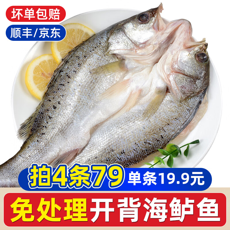 一虾一世界 三去开背海鲈鱼拍4件
