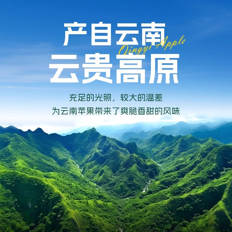 杨家姑娘正宗云南昭通丑苹果 冰糖心高山红露苹果当季新鲜水果礼盒 果径70-80mm(实惠中果) 5斤装【80%的人选择】