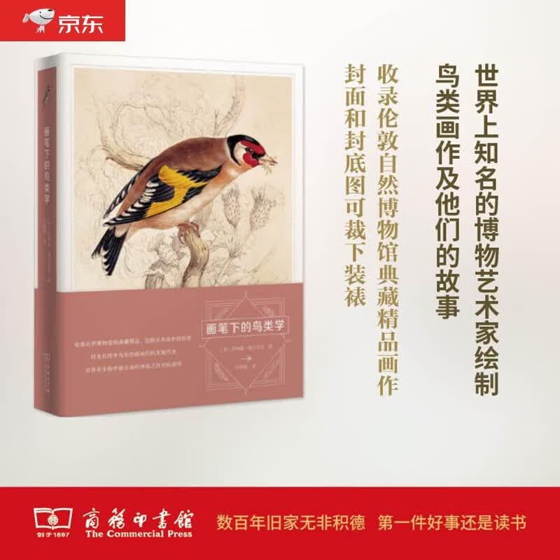 画笔下的鸟类学