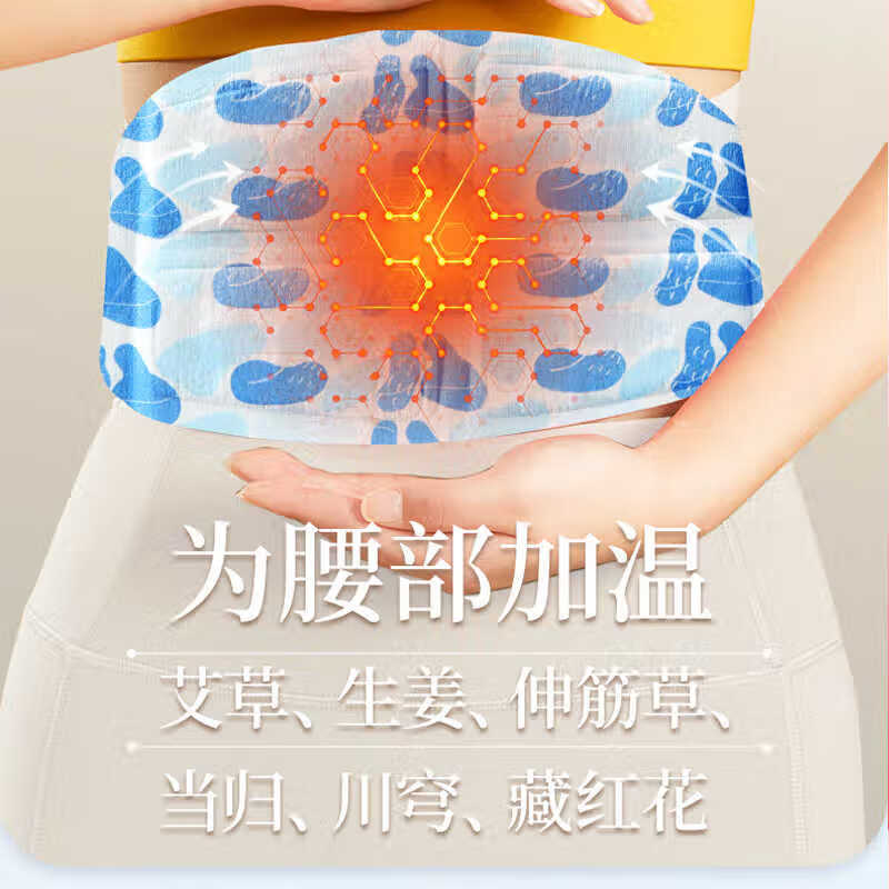 内廷上用北京同仁堂艾草蒸汽暖腰贴生姜腰部热敷贴腰椎生姜艾灸保暖贴  体验装【1盒装-共3贴】