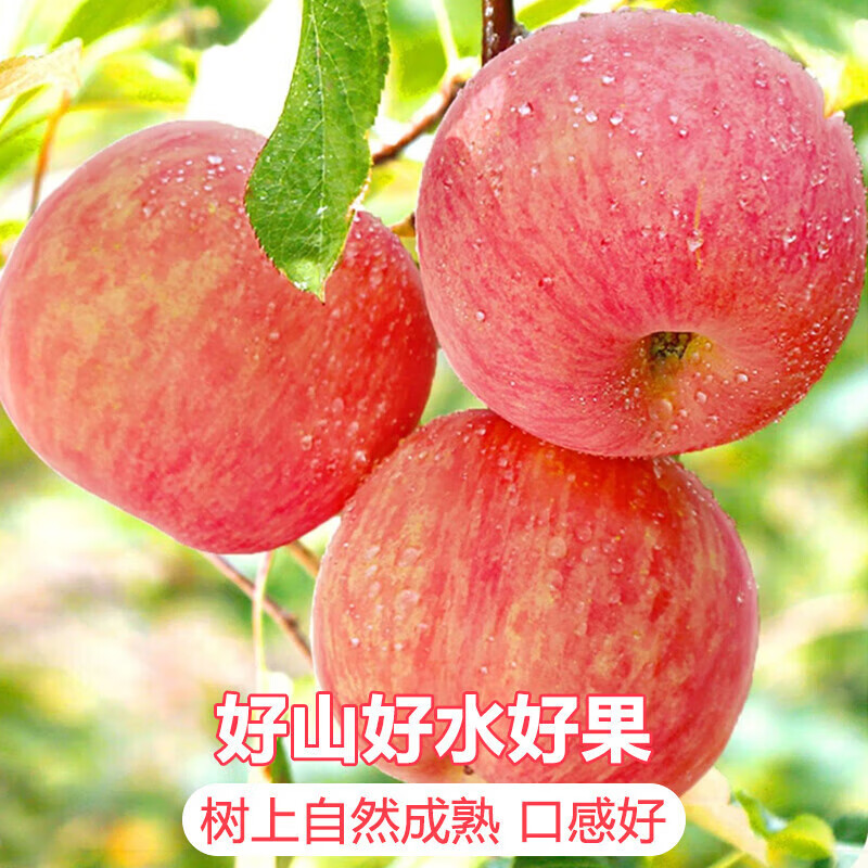 产品配图