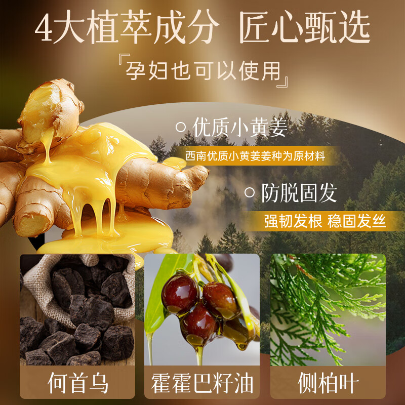 卓蓝雅(ZOOLY)洗发水800ml*2生姜控油防脱固发清洁去屑洗发水 防脱800ml洗发水+防脱800ml洗发