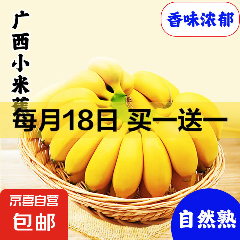 新鲜现摘香蕉小米蕉青皮发货放熟吃新鲜水果 小米蕉买一送一到手 2斤
