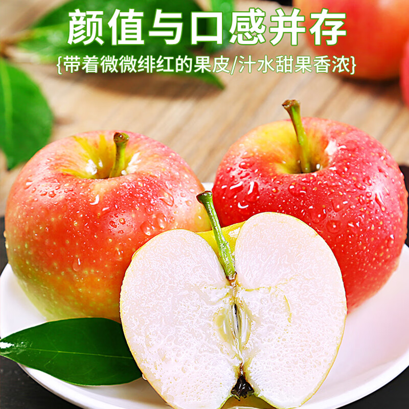 陇百味嘎啦苹果25年新鲜现摘山西运城脆甜当季应季时令水果整箱产地直发 净重4.5斤【18枚装】泡沫托装