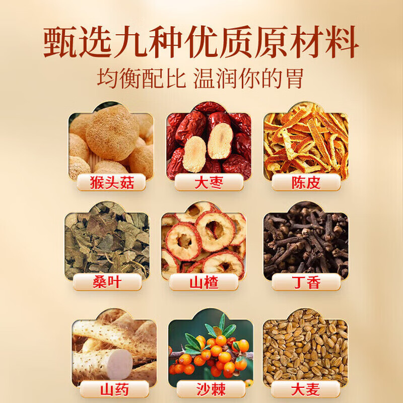 九芝堂猴头菇沙棘丁香茶40袋/盒 茶叶养生茶包养生茶 【试用装】 40袋*1盒