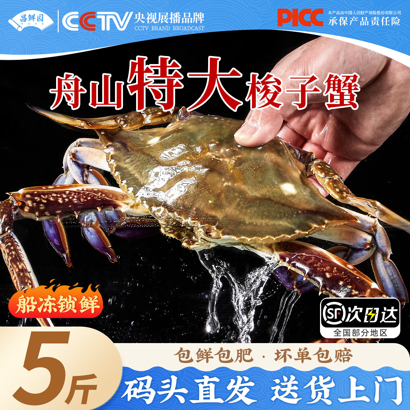 新鲜梭子蟹鲜活冷冻大螃蟹舟山海鲜水产野生梭子蟹活冻飞蟹白蟹 9两以上/只 【净重5斤 舟山直发】