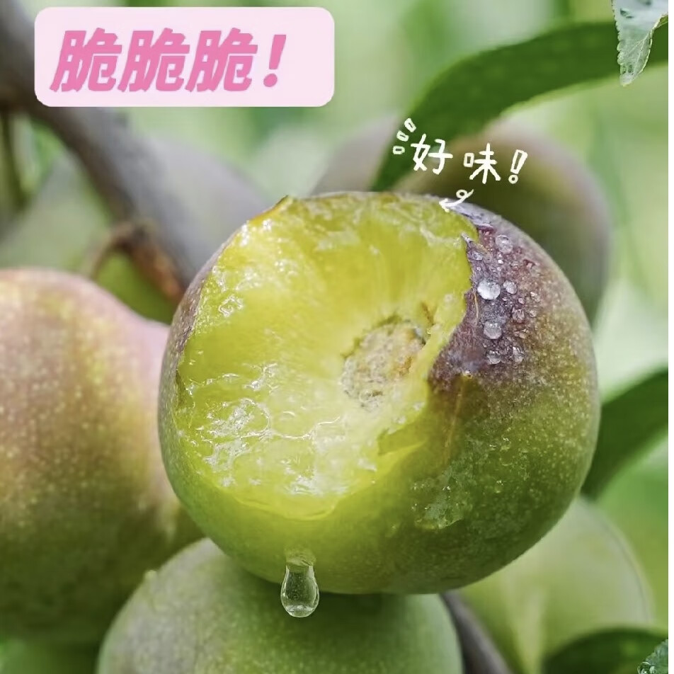 李果图片