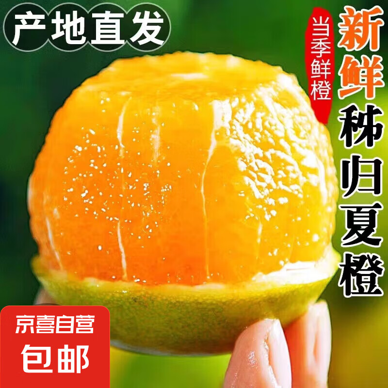 京喜加【25年鲜橙】湖北秭归橙子新鲜采摘夏橙当季新鲜水果【8甜2酸】 带箱1斤55-60mm