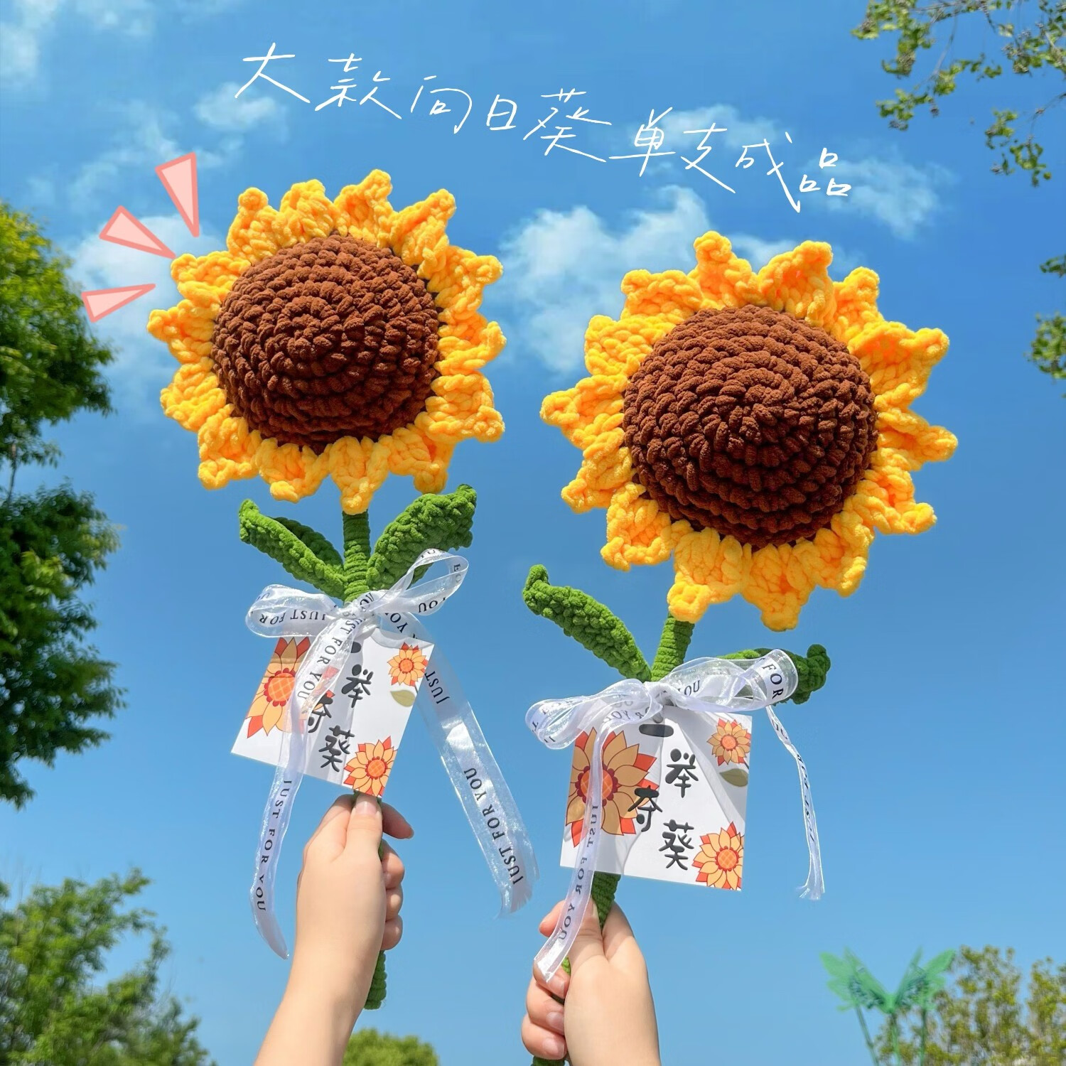 ���տ�����