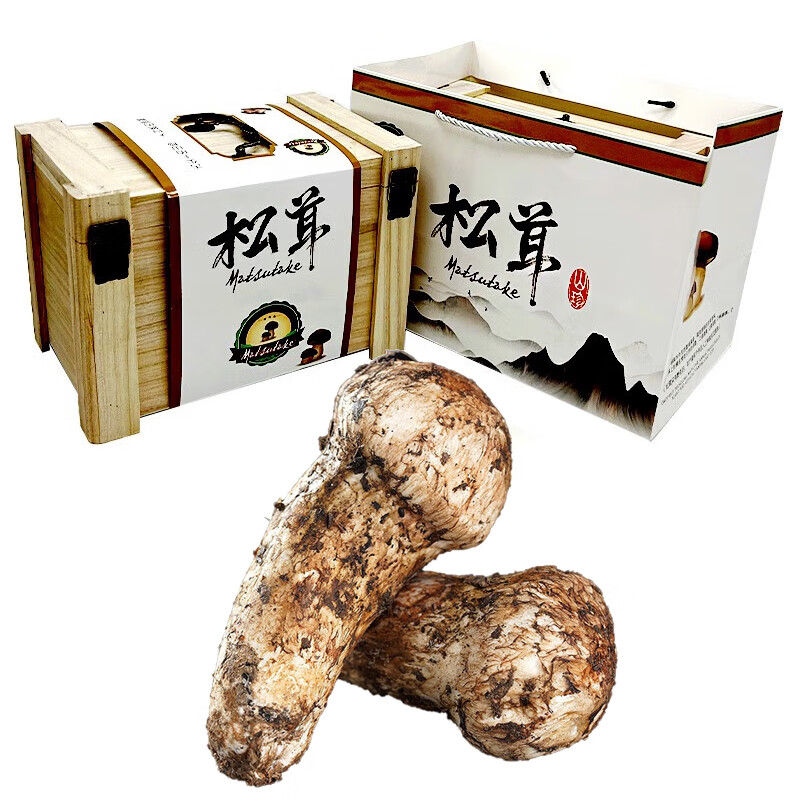 星云湖【顺丰现货】香格里拉新鲜松茸礼盒装云南野生菌家宴送礼松茸刺身 7-9cm 1000g