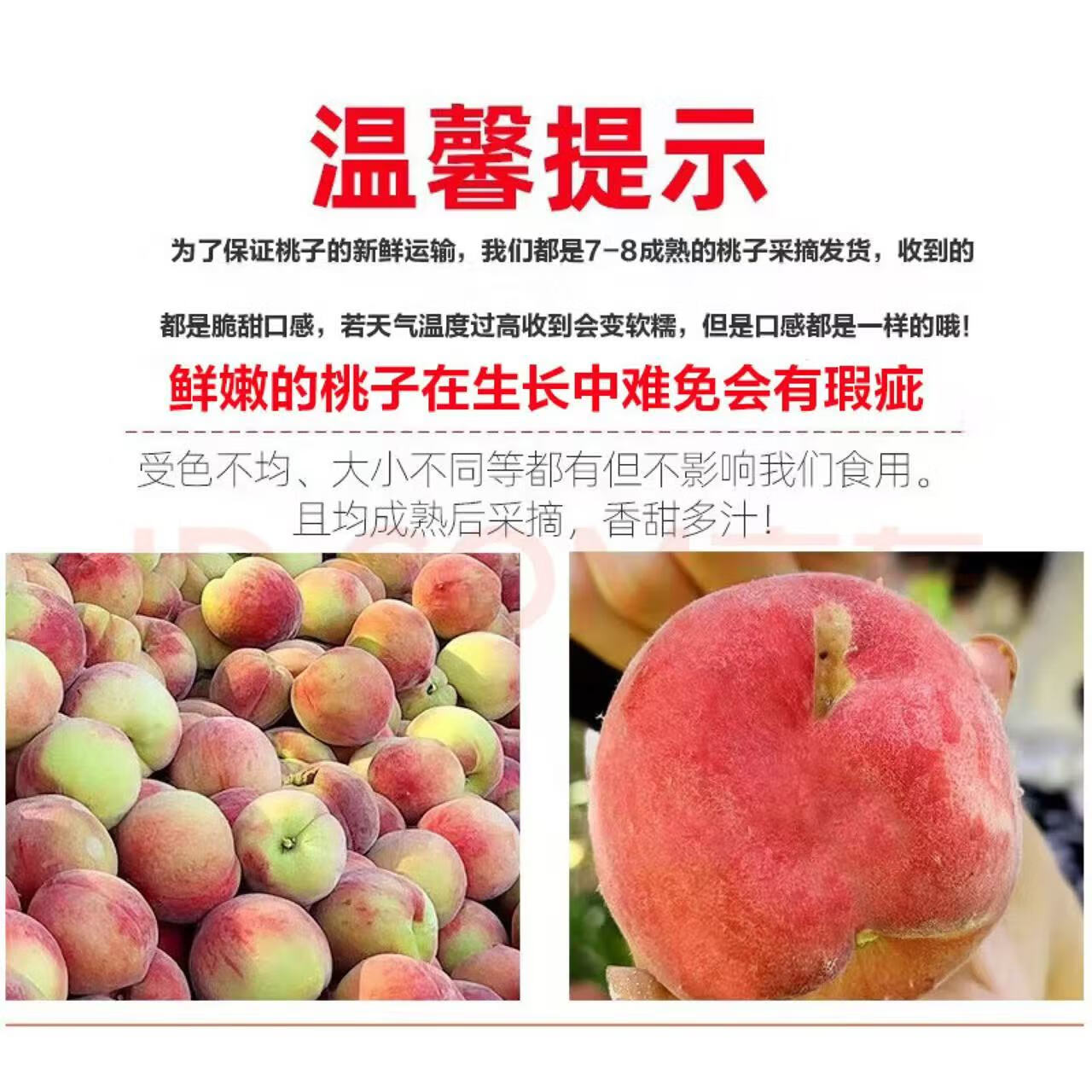 龙多鲜山西水蜜桃 现摘新鲜当季应季时令水果整箱桃子脆甜软硬两吃 整箱5斤 单果120-150g 净4.5斤