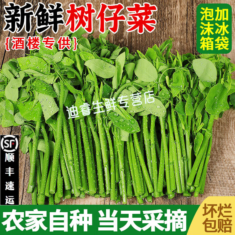 桃西村【順豐速運(yùn)】新鮮樹仔菜潮汕樹菜海南五指山野菜酒店私房特色菜 1斤