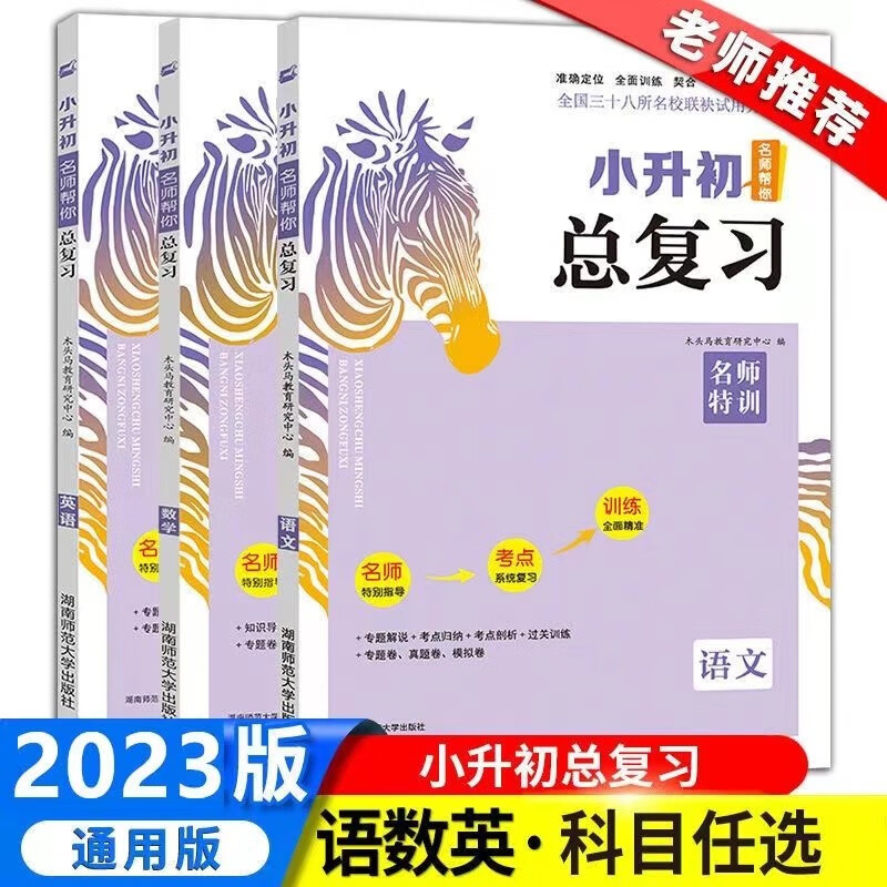 2023新版 木头马名师特训小升初 数学 人教版