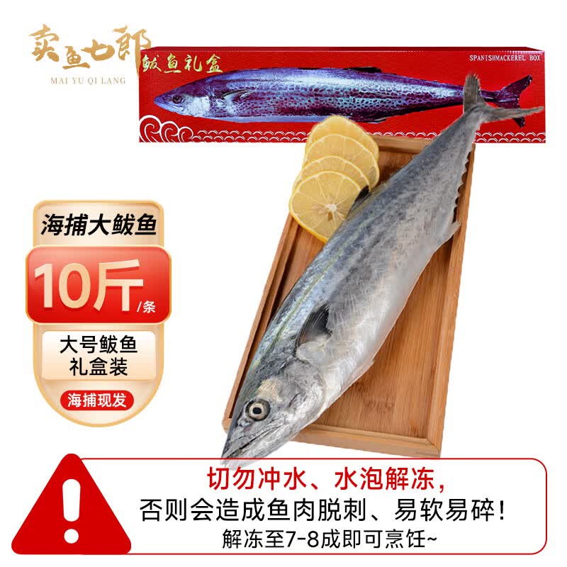 卖鱼七郎青岛海捕大鲅鱼整条10斤冷冻特大马鲛鱼生鲜送年货礼盒源头直发