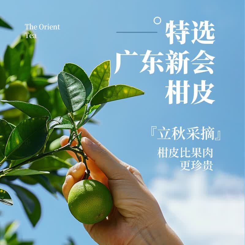 那川高山茉莉玫瑰白茶乌龙青柑普洱无糖茶 纯茶解渴饮料500*15瓶整箱 白茶3+茉莉3+玫瑰3+乌龙3+普洱3