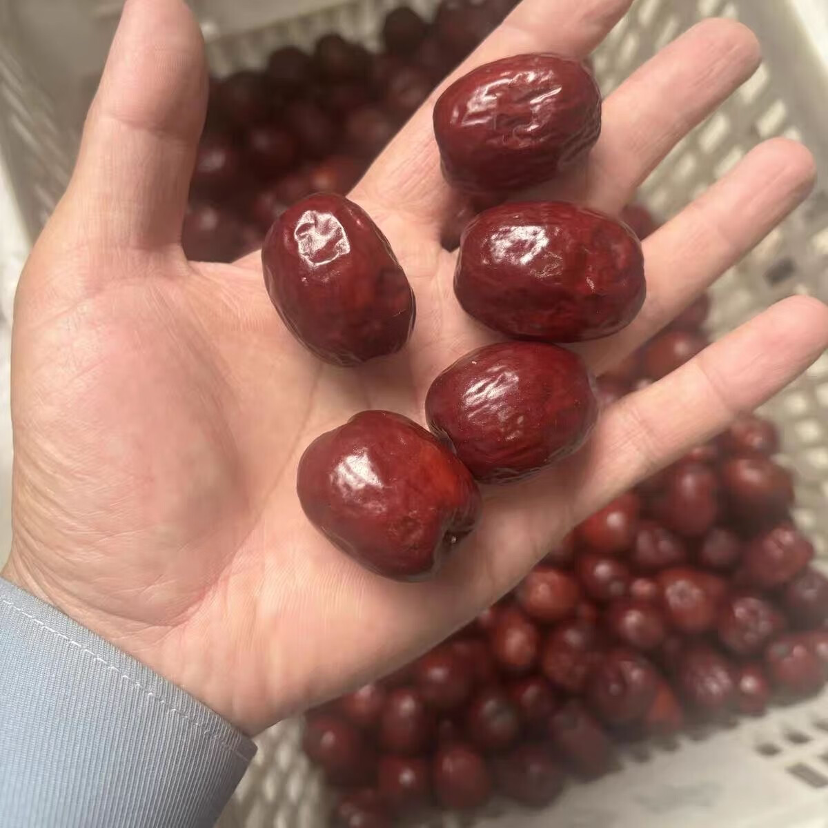 【特级红枣】稷山千年枣树板枣好吃过年送礼大红枣药膳滋补养生 【特级红枣】稷山板枣1斤