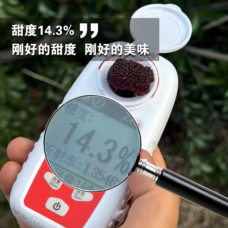 异果恋云南杨梅【JD空运】新鲜当季应季时令水果 鲜嫩多汁多地次日达 2斤装（小蓝子装）