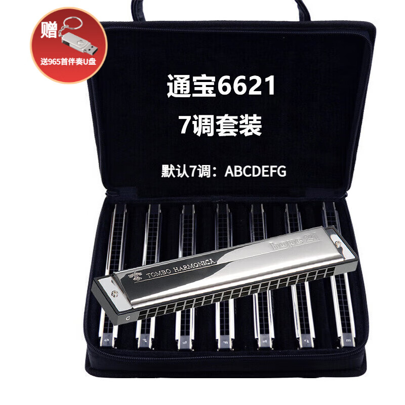 通宝日本进口通宝tombo口琴6621复音12调7调套装成人初学高级演奏乐器