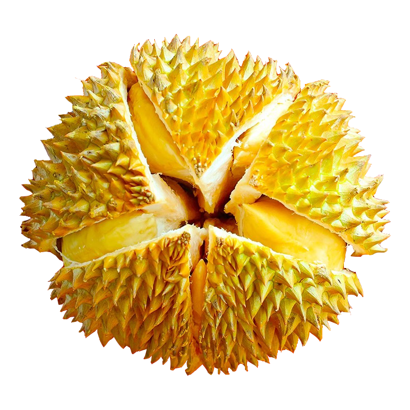 Դ�� ̩�����ڽ������������� ���������������ǽ���ͷ����ä��ˮ�� ��ѡ3-4���3-5����