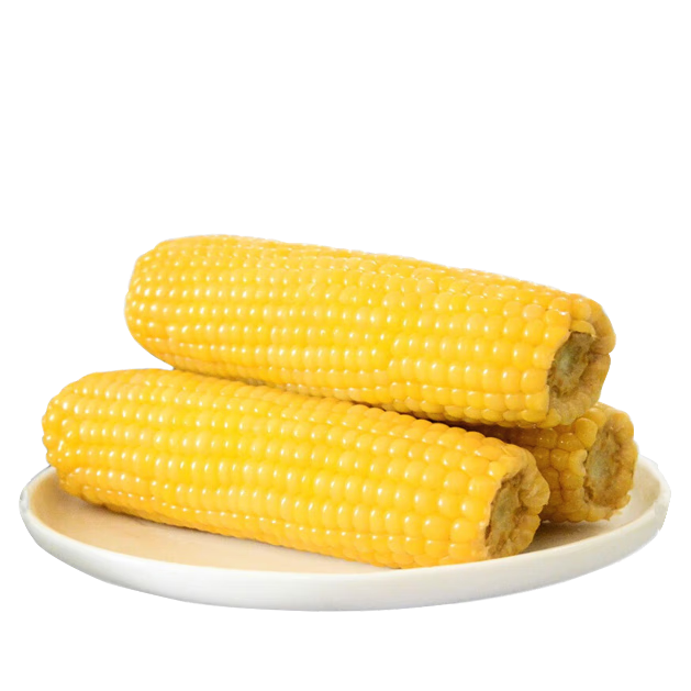 黑熊查克25年黄糯玉米3斤(6-8根)鲜食低脂粗粮早餐 真空包装 源头直发