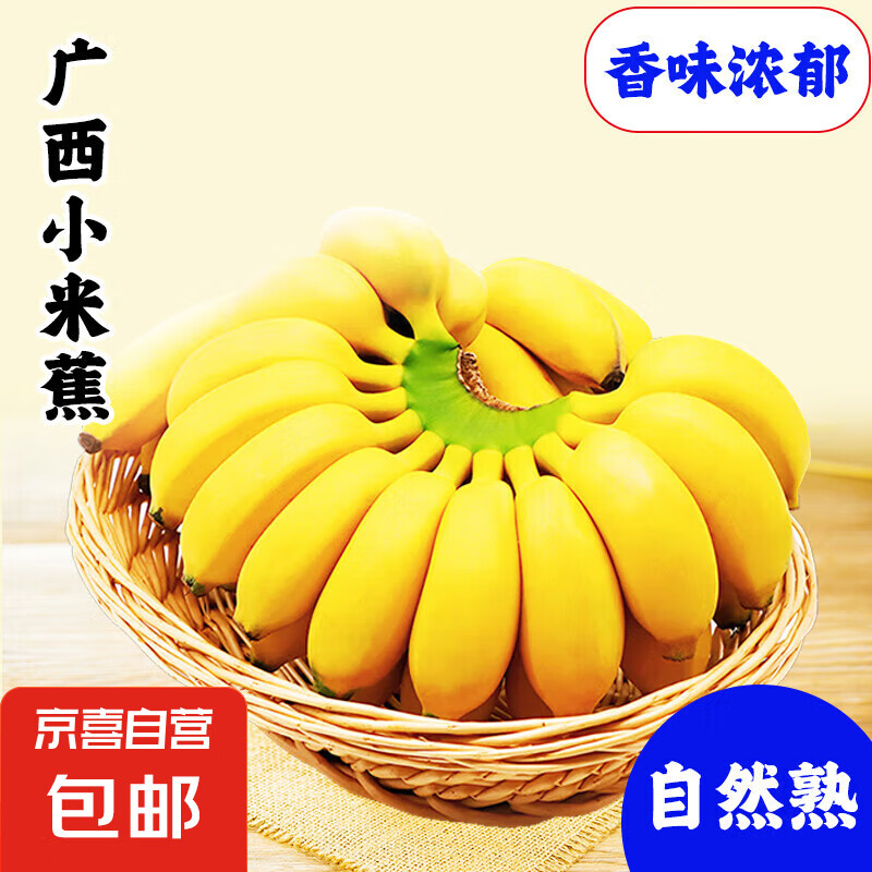 新鲜现摘香蕉小米蕉青皮发货放熟吃新鲜水果 小米蕉 2斤