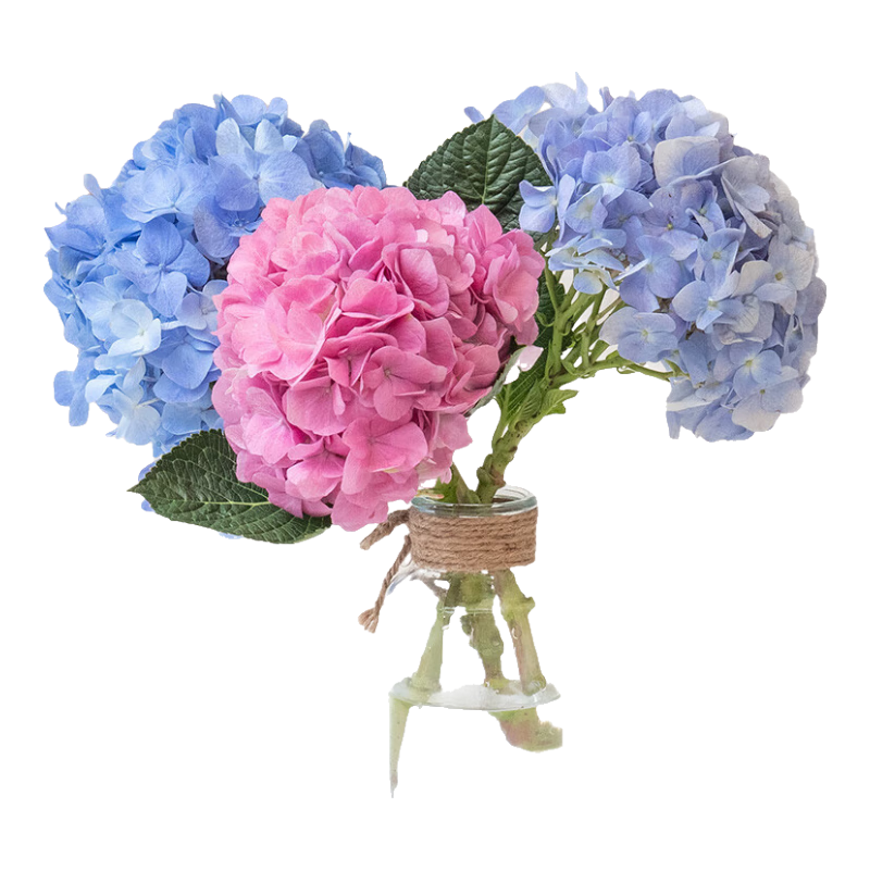 лֱͥ칫ڳŮʻ ɫ1֦8.98Ԫһһ4.49Ԫ/