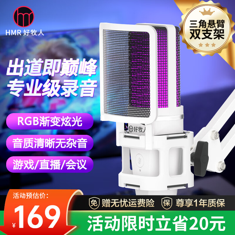 好牧人 录音设备直播麦克风电脑USB笔记本台式主播话筒K歌游戏有声书专业配音YY语音视频会议电容麦 白色【USB·电脑用】-RGB彩灯+悬臂支架